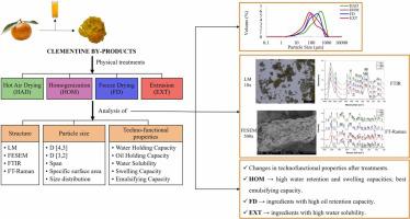 Using different physical treatments to modify the structure and improve the technofunctional properties of clementine by-products