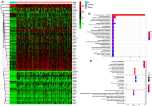 Identifying a Risk Signature of Methylation-Driven Genes as a Predictor of Survival Outcome for Colon Cancer Patients.