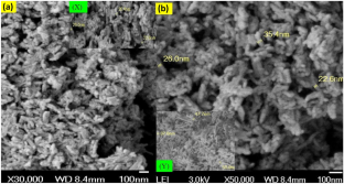 Influence of CuO nanoparticles in the enhancement of the rheological and insulation properties of enriched nanofluid