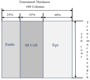 Computational Study on Effect of KCNQ1 P535T Mutation in a Cardiac Ventricular Tissue.