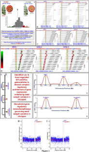 eQTL-seq: a Rapid Genome-Wide Integrative Genetical Genomics Strategy to Dissect Complex Regulatory Architecture of Gene Expression Underlying Quantitative Trait Variation in Crop Plants