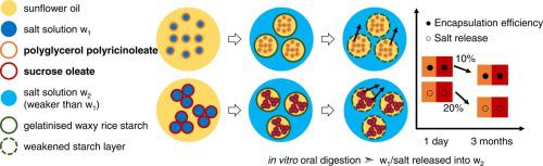 Formulation engineering of water-in-oil-in-water emulsions for salt reduction with sucrose oleate as a PGPR-alternative lipophilic emulsifier