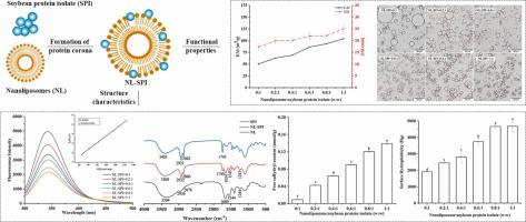 Mechanistic understanding of the effects of nanoliposome-soybean protein isolate interactions on soybean protein isolate emulsifying properties