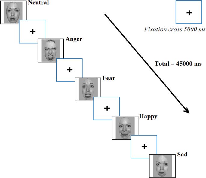 Emotional intelligence and individuals’ viewing behaviour of human faces: a predictive approach