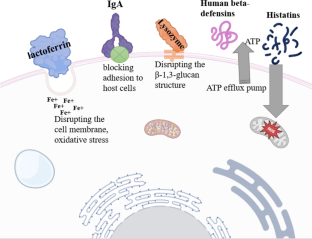 Human secretory and excretory fluids, molecular constituents, and their biotherapeutic perspective against fungal pathogen Candida albicans