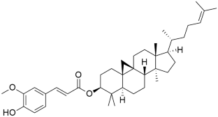 Effect of γ-Oryzanol on the LE-LC Phase Coexistence Region of DPPC Langmuir Monolayer.