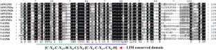 Genome-Wide Identification and Characterization of LIM Gene Family in Grapevine (Vitis vinifera L.) and Their Expression Analysis at Early Bud Developmental Stages