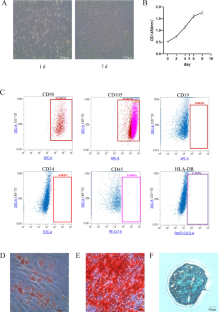 Delivery of SAV-siRNA via Exosomes from Adipose-Derived Stem Cells for the Treatment of Myocardial Infarction.