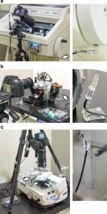 Correlative microscopy and block-face imaging (CoMBI): a 3D imaging method with wide applicability in the field of biological science