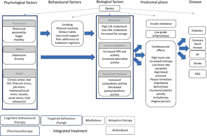 The importance, consequences and treatment of psychosocial risk factors in heart disease: less conversation, more action!