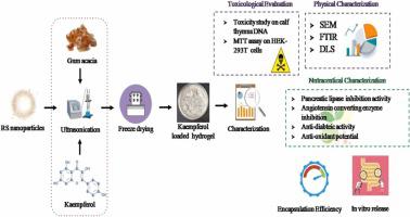 Nutraceutical and toxicological evaluation of hydrogels architected using resistant starch nanoparticles and gum acacia for controlled release of kaempferol