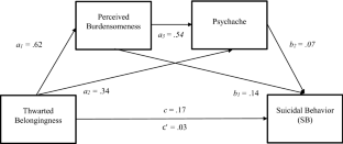 Thwarted Belongingness and Suicide Risk in Primary Care: Perceived Burdensomeness and Psychache as Mediators.