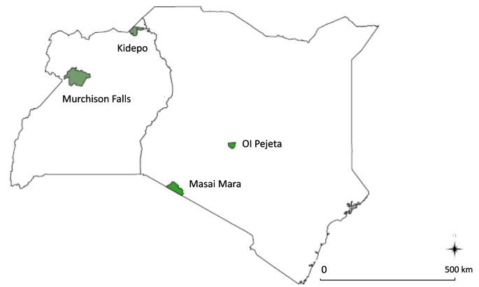 The antigen recognition portion of African buffalo class I MHC is highly polymorphic, consistent with a complex pathogen challenge environment, and the 3' region suggests distinct haplotype configurations.