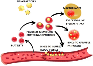 Recent advances in nanotechnology and its application for neuro-disease: a review