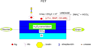 Nanoparticle-based intervention to cardiovascular diseases (CVDS)