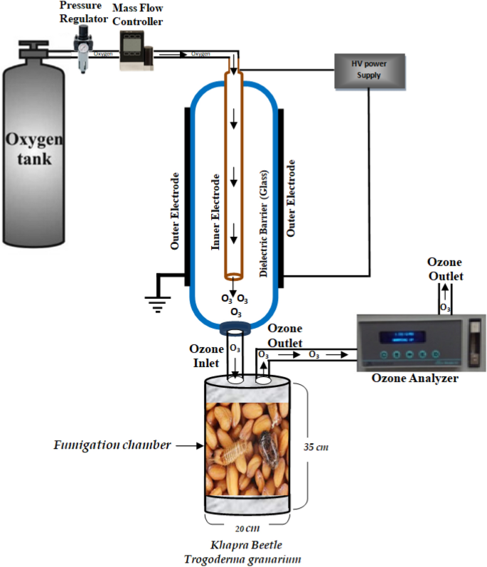 Influence of ozone gas on the khapra beetle, Trogoderma granarium (Coleoptera: Dermestidae) in stored wheat