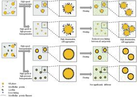 Comparative effects of micro vs. submicron emulsions on textural properties of myofibrillar protein composite gels