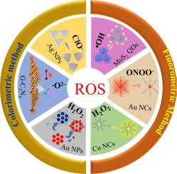 Recent progress of nanomaterials for colorimetric and fluorescence sensing of reactive oxygen species in biological and environmental samples