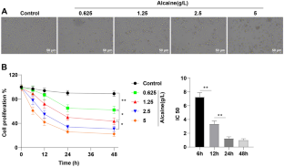 Effects of ophthalmic surface anesthetic alcaine on the proliferation and apoptosis of human corneal endothelial cells through HIF-1α regulation.