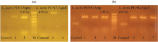 Biodiversity, Isolation and Sequencing of Lactococcus lactis Bacteriophages from Dairy Industry Plants in Russia