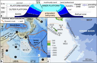 Facies, depositional environments and drowning of Tethyan isolated carbonate platforms: the Paleogene carbonates of Malta