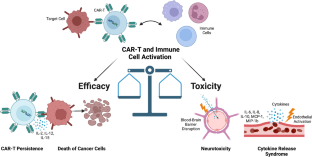 CAR-T Cell Therapy: the Efficacy and Toxicity Balance.