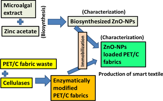 Application of microalgal-ZnO-NPs for reusing polyester/cotton blended fabric wastes after modification by cellulases enzymes