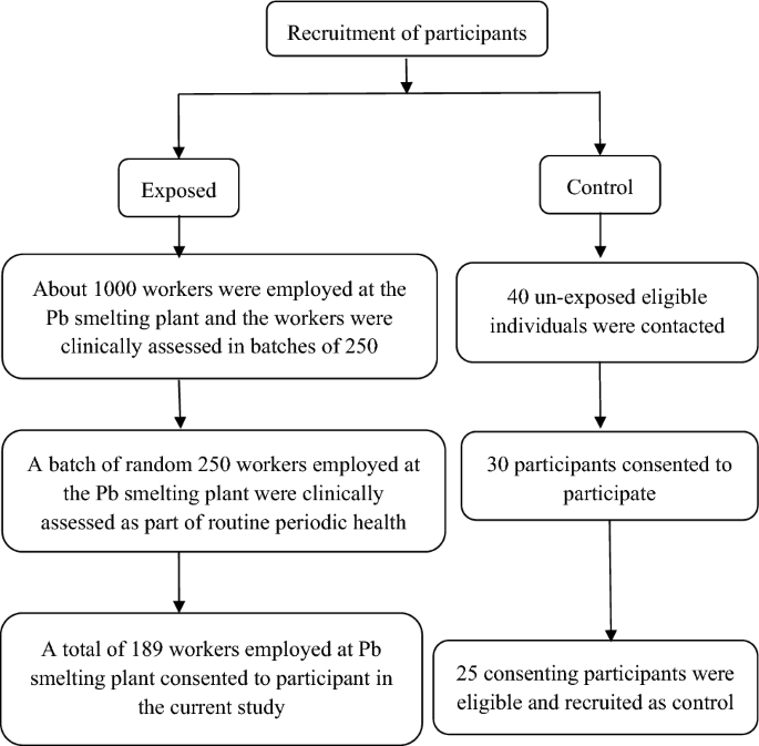 Unraveling the interaction between lead and calcium in occupationally exposed males: an exploratory observation study.