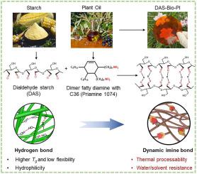 Flexible, thermal processable, self-healing, and fully bio-based starch plastics by constructing dynamic imine network