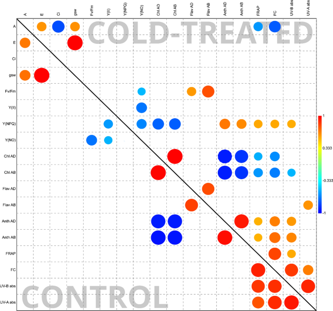 Fight against cold: photosynthetic and antioxidant responses of different bell pepper cultivars (Capsicum annuum L.) to cold stress.