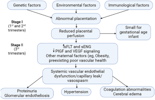 Hypoxia-Inducible Factor 1 and Preeclampsia: A New Perspective.