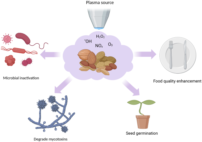 The Application of Cold Plasma Technology in Low-Moisture Foods