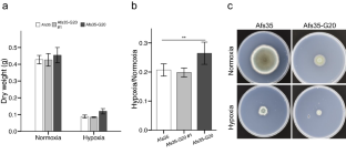 Dysfunction of Ras-GAP protein AfgapA contributes to hypoxia fitness in Aspergillus fumigatus.