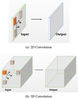 BDNet: a method based on forward and backward convolutional networks for action recognition in videos