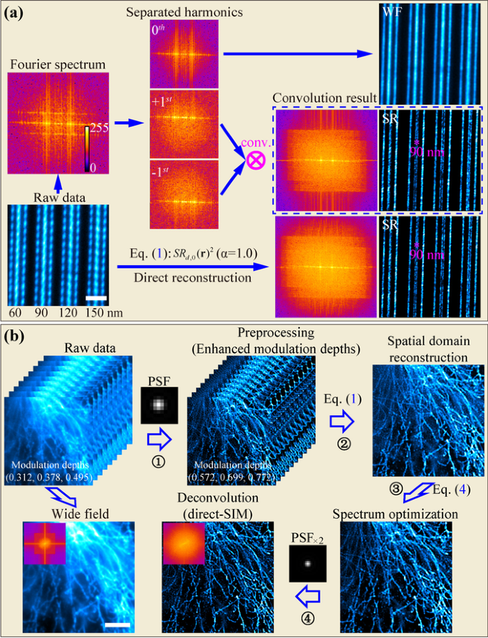 Spectrum-optimized direct image reconstruction of super-resolution structured illumination microscopy