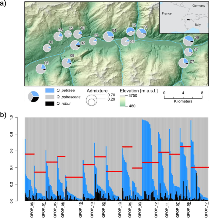 Abiotic factors predict taxonomic composition and genetic admixture in populations of hybridizing white oak species (Quercus sect. Quercus) on regional scale