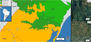 Site occupancy of Dasypus novemcinctus (Mammalia, Cingulata) and daily activity of four armadillo species in the Uruguayan Savanna and southern Atlantic Forest