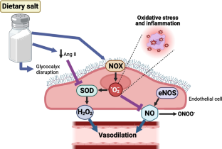 Salty Subjects: Unpacking Racial Differences in Salt-Sensitive Hypertension.