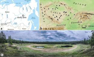 Well-hidden forests? Modern pollen spectra from Central Yakutia (Eastern Siberia) contribute to the interpretation of the last glacial vegetation in Central Europe