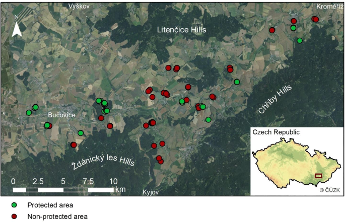 Significant decline in habitat specialists in semi-dry grasslands over four decades