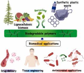 Biodegradable polymers from lignocellulosic biomass and synthetic plastic waste: An emerging alternative for biomedical applications