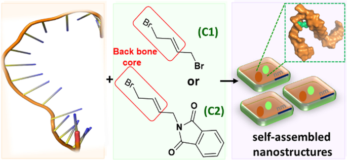 Oligonucleotide nanoassemblies with allyl bromide scaffold-based small molecules