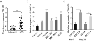 lncRNA SNHG9 enhances liver cancer stem cell self-renewal and tumorigenicity by negatively regulating PTEN expression via recruiting EZH2.