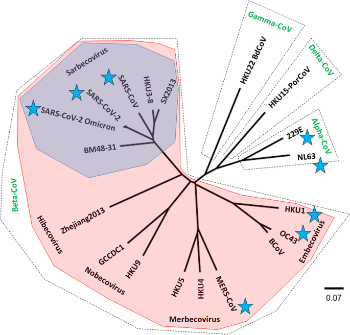 The role of vaccines in the COVID-19 pandemic: what have we learned?