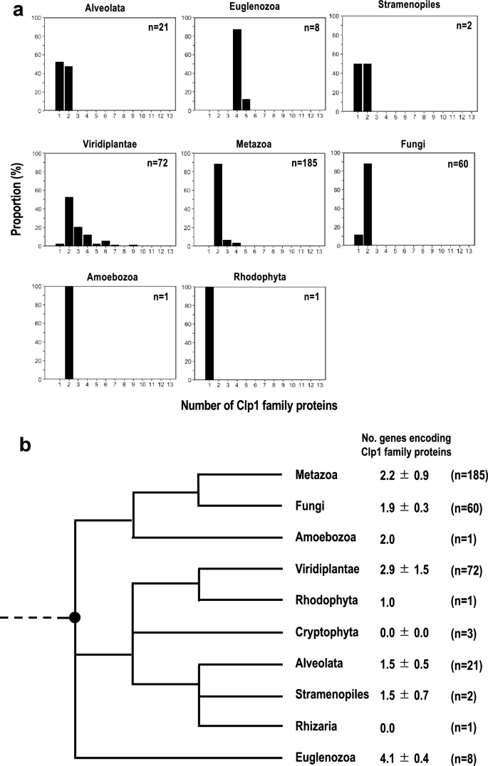 Systematic Analysis of Diverse Polynucleotide Kinase Clp1 Family Proteins in Eukaryotes: Three Unique Clp1 Proteins of Trypanosoma brucei.