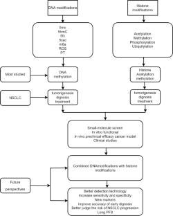 DNA and histone modifications as potent diagnostic and therapeutic targets to advance non-small cell lung cancer management from the perspective of 3P medicine.