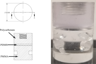 On crack nucleation and propagation in elastomers: I. In situ optical and X-ray experimental observations