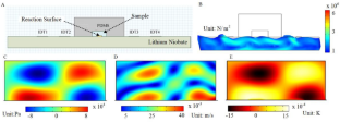 Numerical characterization and optimization of the acoustic device for heterogeneous immunoassays