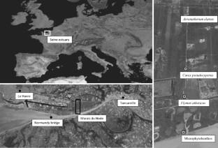 Organic Carbon Quality Impacts Benthic Microbial Nitrate Reduction