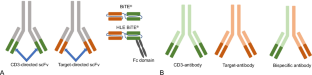 Bispecific Antibodies for the Treatment of Multiple Myeloma.